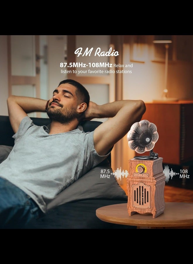 Retro Bluetooth Speaker, Retro Radio, Bass, FM Radio, 5.3 Bluetooth Radio Wireless Connect for Home Office Room Vintage Decor, USB/TF/AUX Player, Portable Rechargeable Vintage Radio Bluetooth Speaker  - Image 4