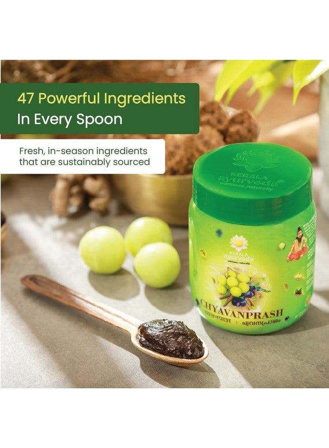Kerala Ayurveda كيرالا أيورفيدا شياوانبراش مع الأملا البري، جيلوي، أشواغاندا، شاتافاري و جاجري | غني بفيتامين C | يعزز الطاقة، المناعة، القدرة على التحمل والهضم 500 جرام - Image 2