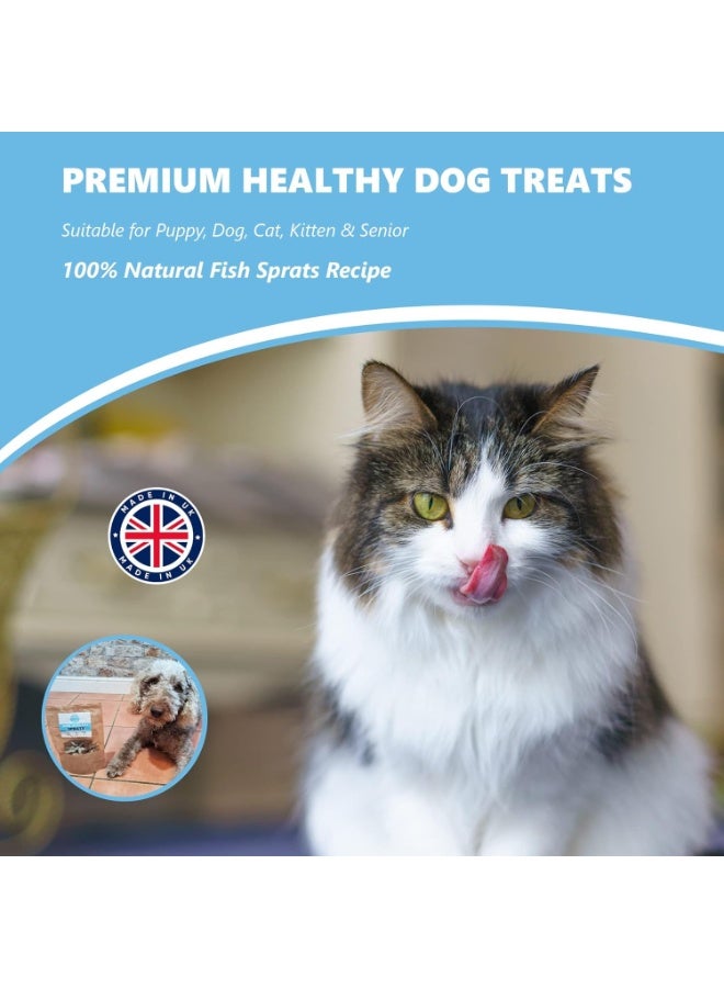 Pets Purest Sprats Dog Treats & Cat Snack - 100% Natural Air-Dried Fish Treat for Dogs, Puppy, Cats, Kitten & Senior. Pure Healthy Grain, Gluten & Lactose Free Hypoallergenic Raw Pet Food (100g) - Image 4