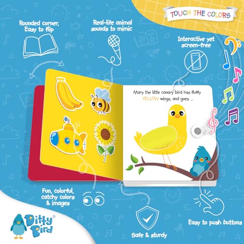 DITTY BIRD Touch & Feel Colors Edition Musical Books | Fun Montessori Toys & Learning Resources | Sensory Toys for Kids | Interactive Toddler Books for 1 Year Old to 3 Year Olds | Sturdy Baby Book - Image 3
