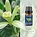 BURIBURI Vanilla Essential Oil 100 Pure Undiluted Natural Aromatherapy Oil for Diffuser Massage - Image 4