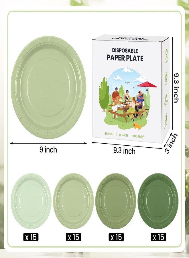 Kochorie 60 Pieces Sage Green Disposable Paper Plates 9 Inch Heavy Duty Dinner Plates, Solid Color, Table Decorations Party Supplies for Birthdays, Weddings, Daily Use - Image 2