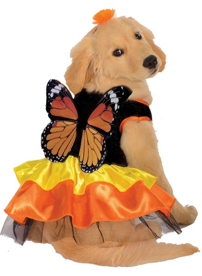 روبيز زي الفراشة الملكية من روبيز، صغير - Image 1