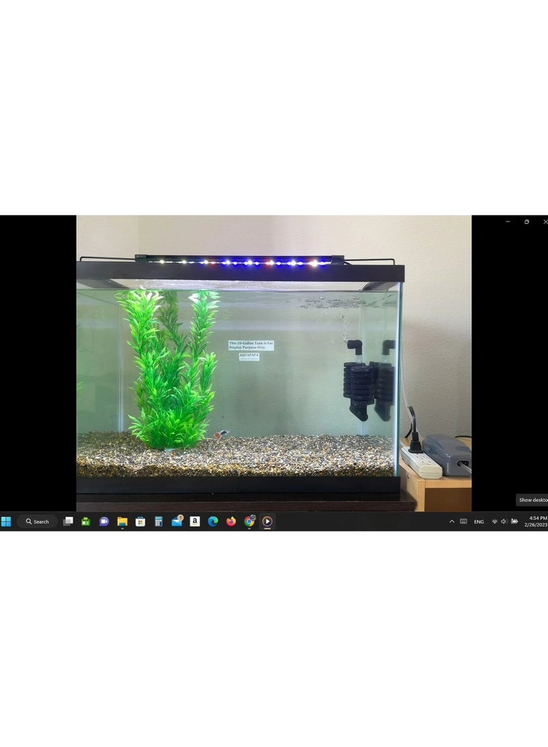 AROAQ Bio Sponge Filter for Betta Fry Aquarium Fish Tank Up to 30 Gal each Double Sponge Design 4 -Pack - Image 3