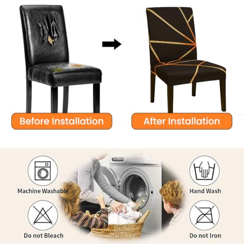 Homerz Premium Pack of 4 Elastic Stretchable Dining Chair Cover, Removable Washable Elastic Floral Printed Dining Chair Covers seat Cushion pad Wooden (Golden Strip, Pack of 4) - Image 4