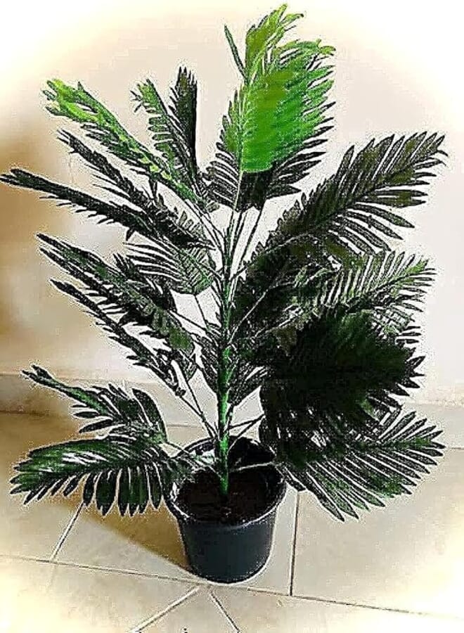 Artificial Plant & Planter