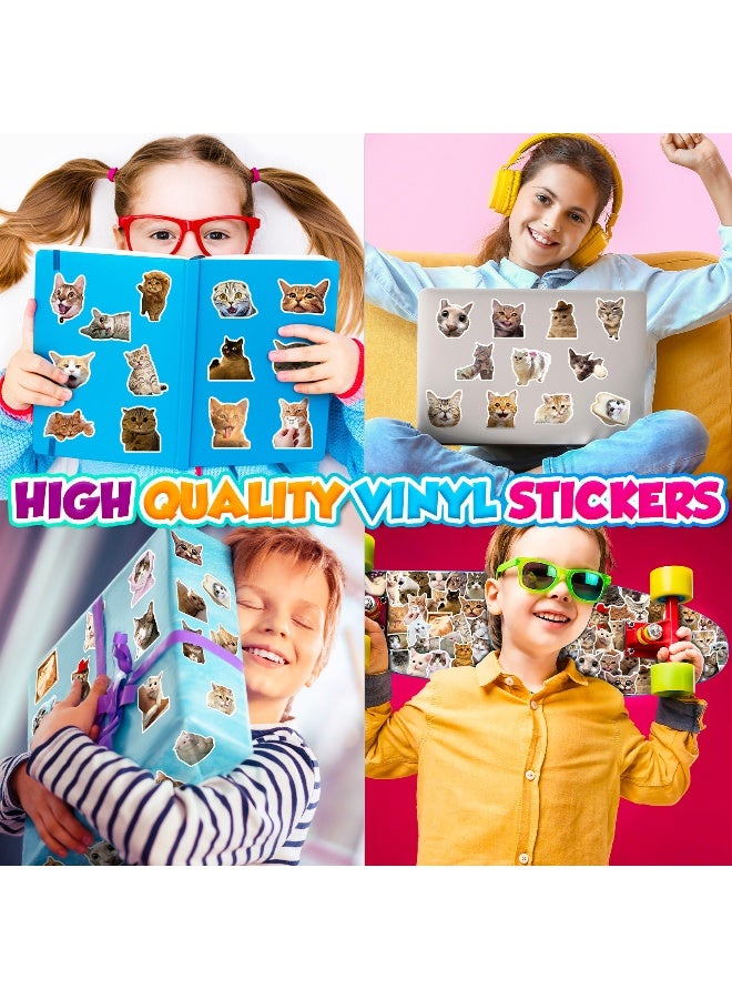 50 ملصق للتزلج على الكمبيوتر محمول مقاوم للماء بتصميمات تعبيرات القطط - Image 3