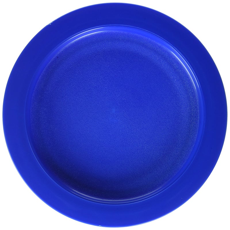 Sammons Preston Plate with Inside Edge, 9" Plate with Food Spill Prevention Aid, Durable Plates with Inner Lip, Eating Support for Children, Adults, Elderly and Disabled, Polypropylene, Blue - Image 2