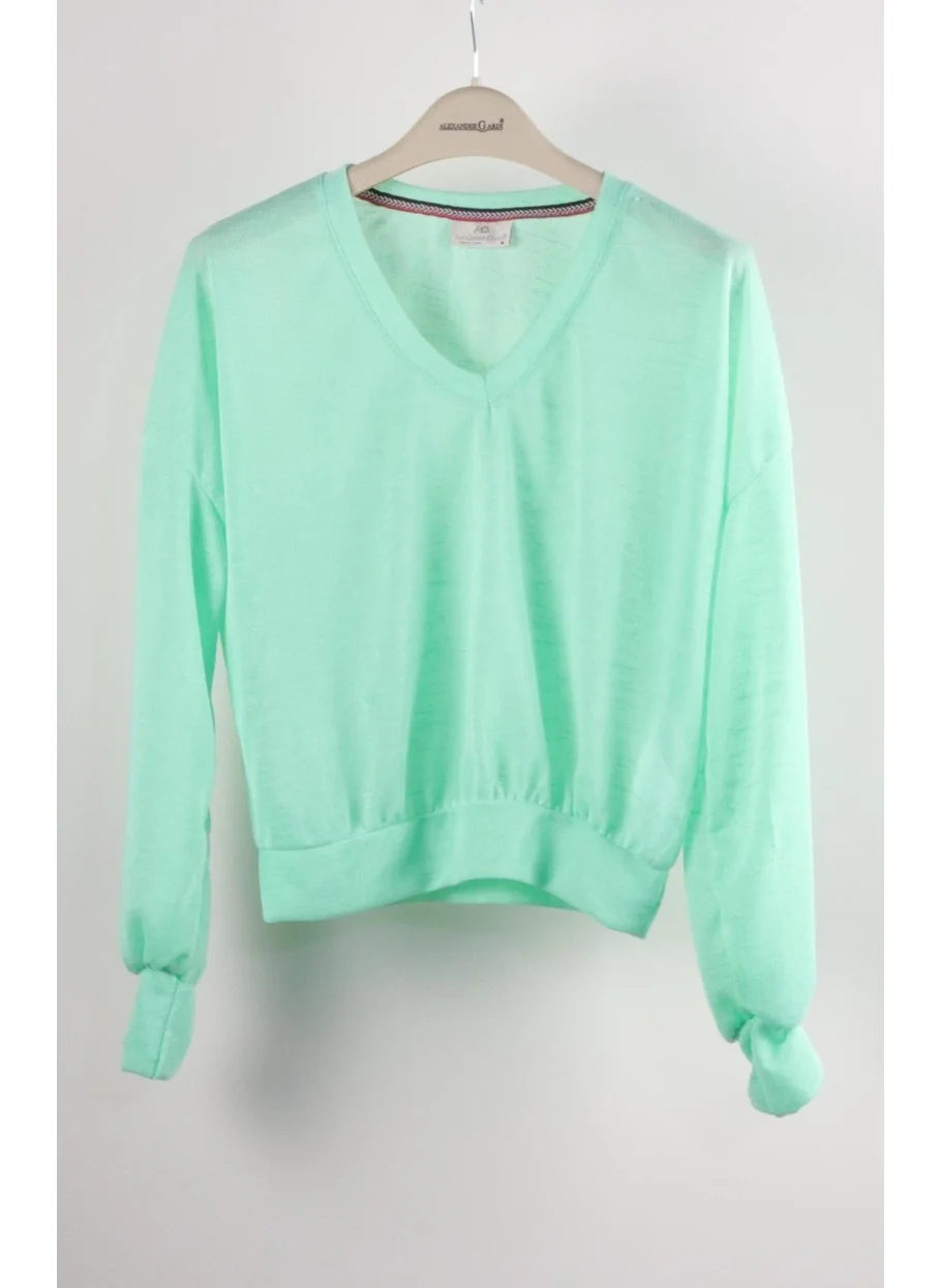 Alexander Gardi V-Neck Bat Sleeve Blouse (B21-30505)