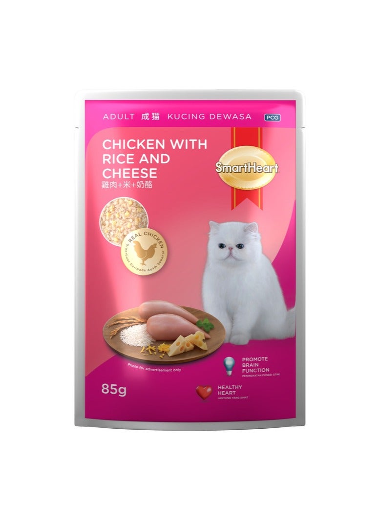 طعام قطط في كيس - دجاج مع أرز وجبنة