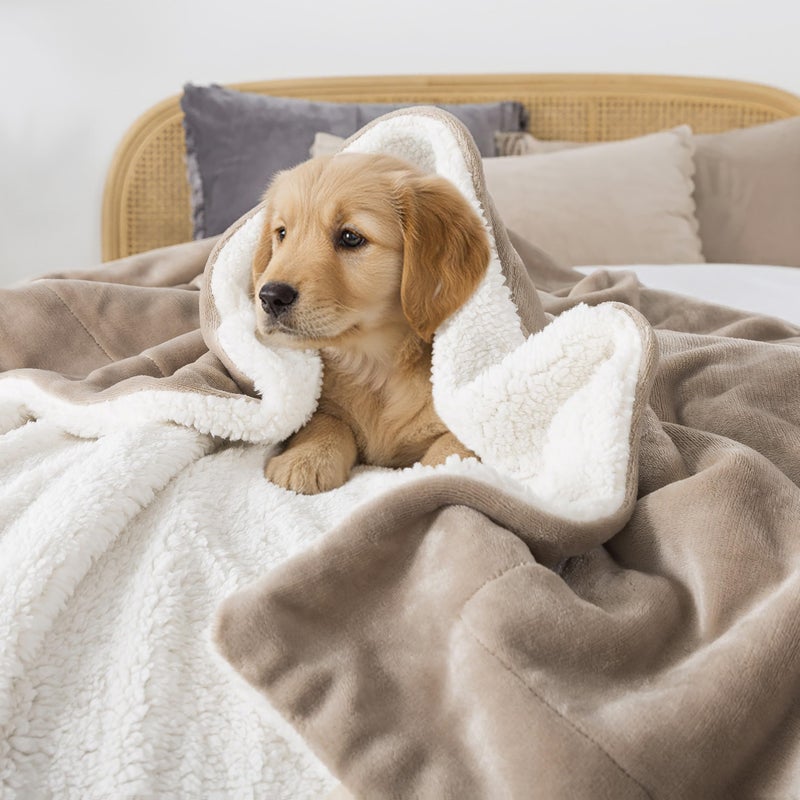 WDCOZY Sherpa Fleece Blankets Fuzzy Warm Throw Blanket Thick Super Soft Reversible Luxurious Fluffy Plush for Sofa Couch Bed Home Decor All Seasons Winter Blankets Tan Camel Beige 50"x60" - Image 4