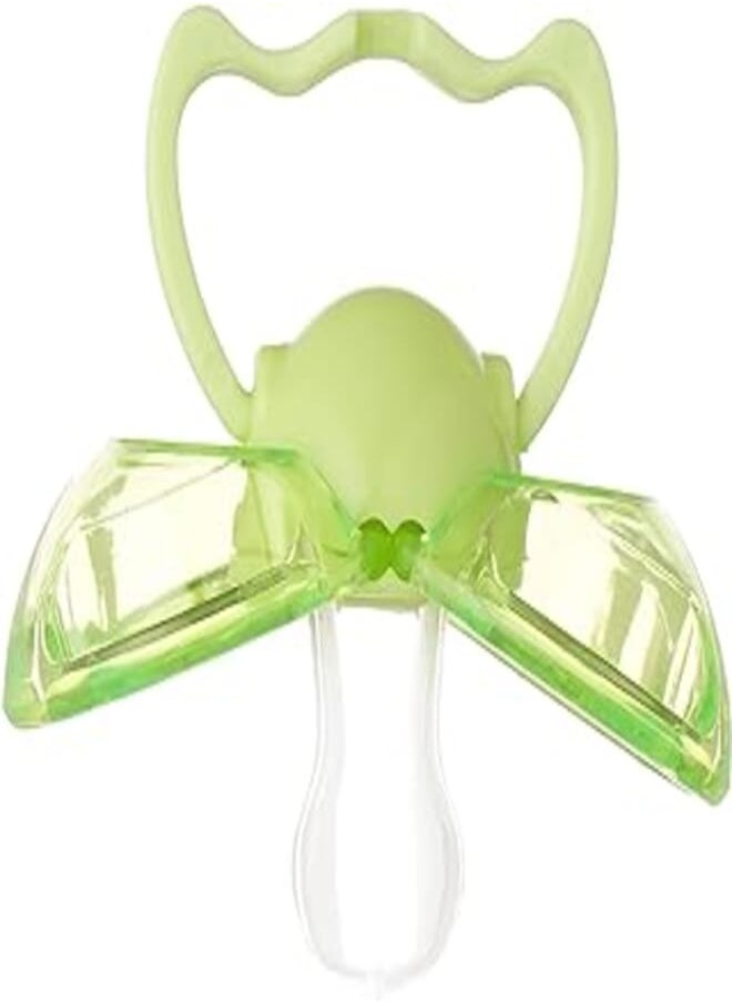 FISH Little Fish Baby Pacifier with Cover - Green 