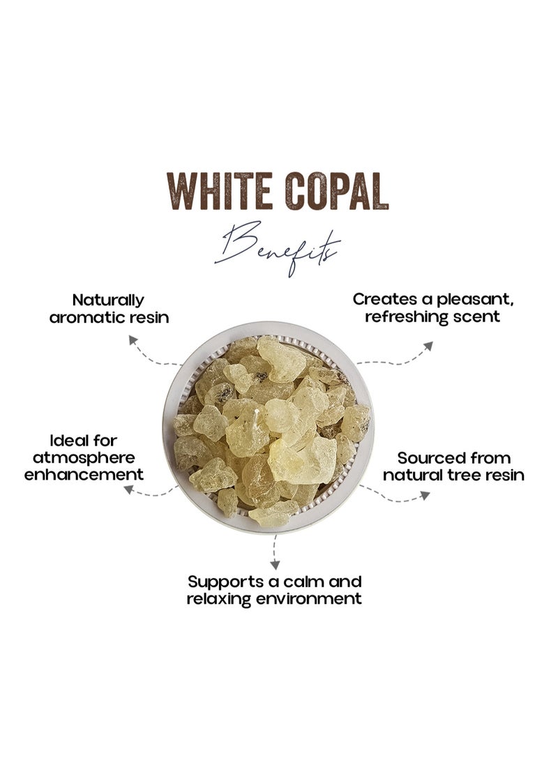 OGOC White Copal Incense Resin Copal Blanco Natural Aromatic Resin Premium Grade Traditional Incense Resin for Charcoal Burning Bakhoor Burners Meditation Home Fragrance Spiritual Rituals - Image 2