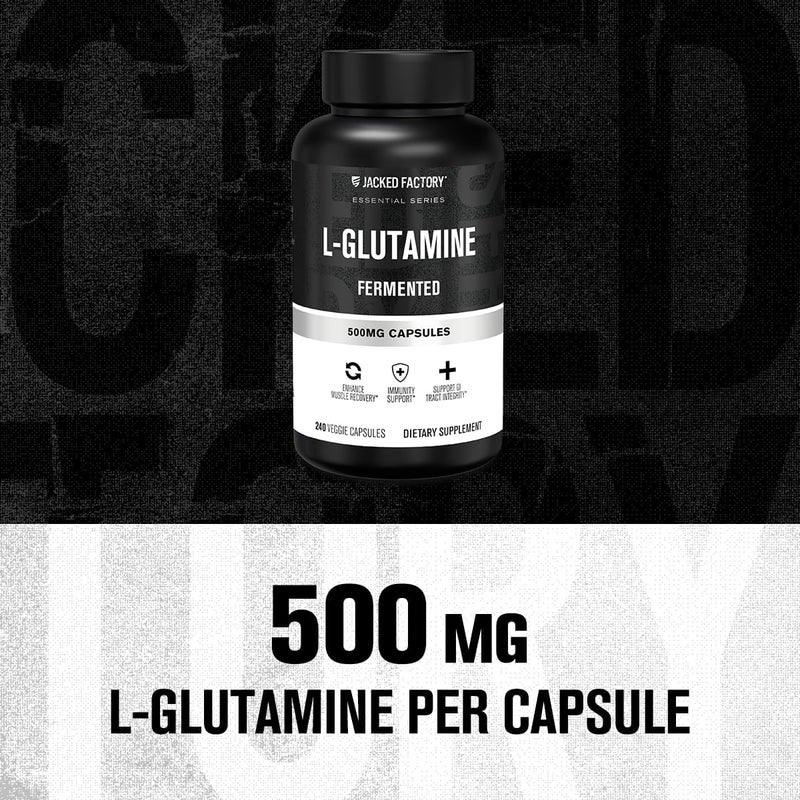 Jacked Factory LGlutamine Capsules 500mg  Vegan Fermented L Glutamine Supplement for Post Workout Muscle Recovery Immunity Digestive Health  240 Capsules - Image 2