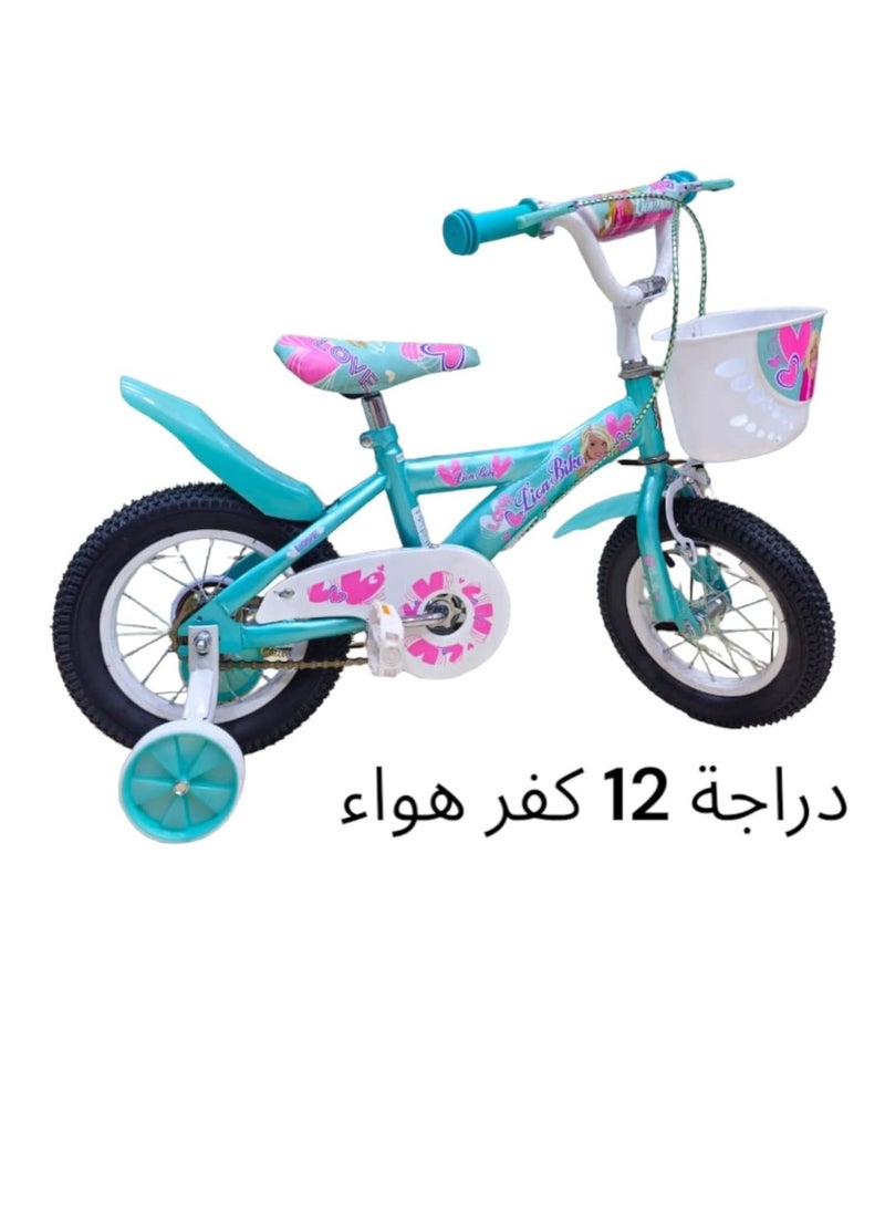 Metallic Bicycle With Disc Brakes Size 12