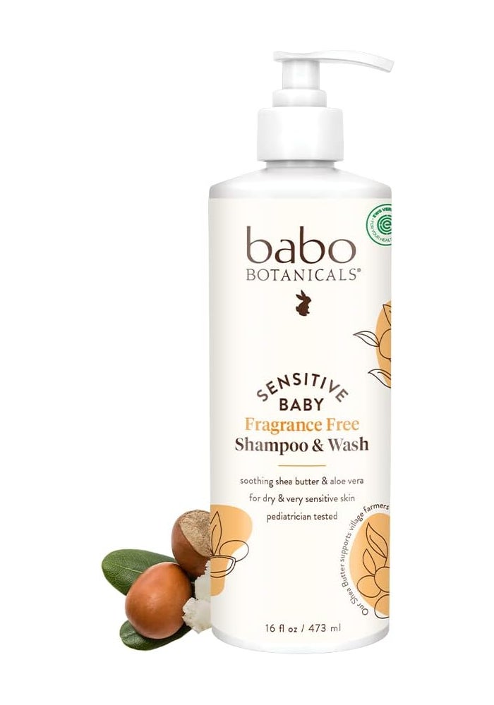Babo Botanicals شامبو وغسول الأطفال 2 في 1 خالي من العطور من بوبو بوتانيكالز - زبدة الشيا، كاليندولا وألوة - معتمد من EWG، خالي من القسوة، نباتي - مختبر من قبل أطباء الأطفال - 16 أونصة سائلة - Image 1