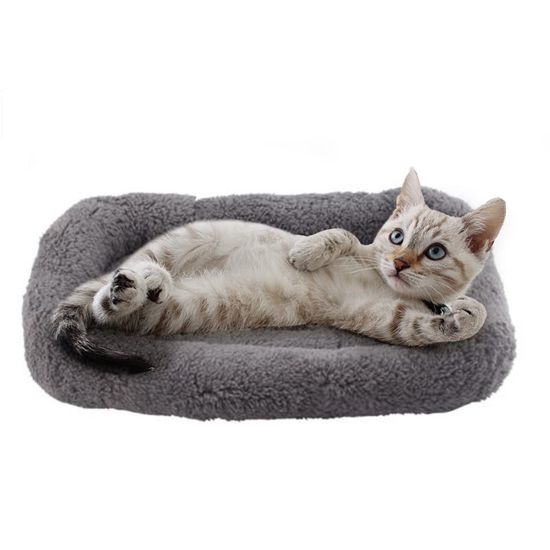 PETLESO Small Cat Bed Mat Plush Pet Cushion, 15" x 10" Cat Pad with Pillow Around for Indoor Pets, Puppy Curl Sleep Self Warming Mat for Crate Carrier/Outdoor Pet Houses, Non-Slip Bottom, Small - Image 1