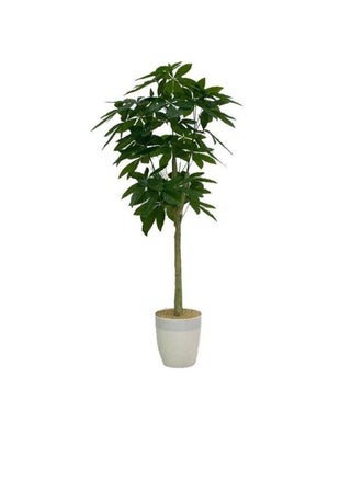 Artificial Tree - pzsku/ZDE909C49D81AD5F36633Z/45/_/1676588461/d8e84a2e-1baa-45fc-a01b-0e2b1cf64c8a