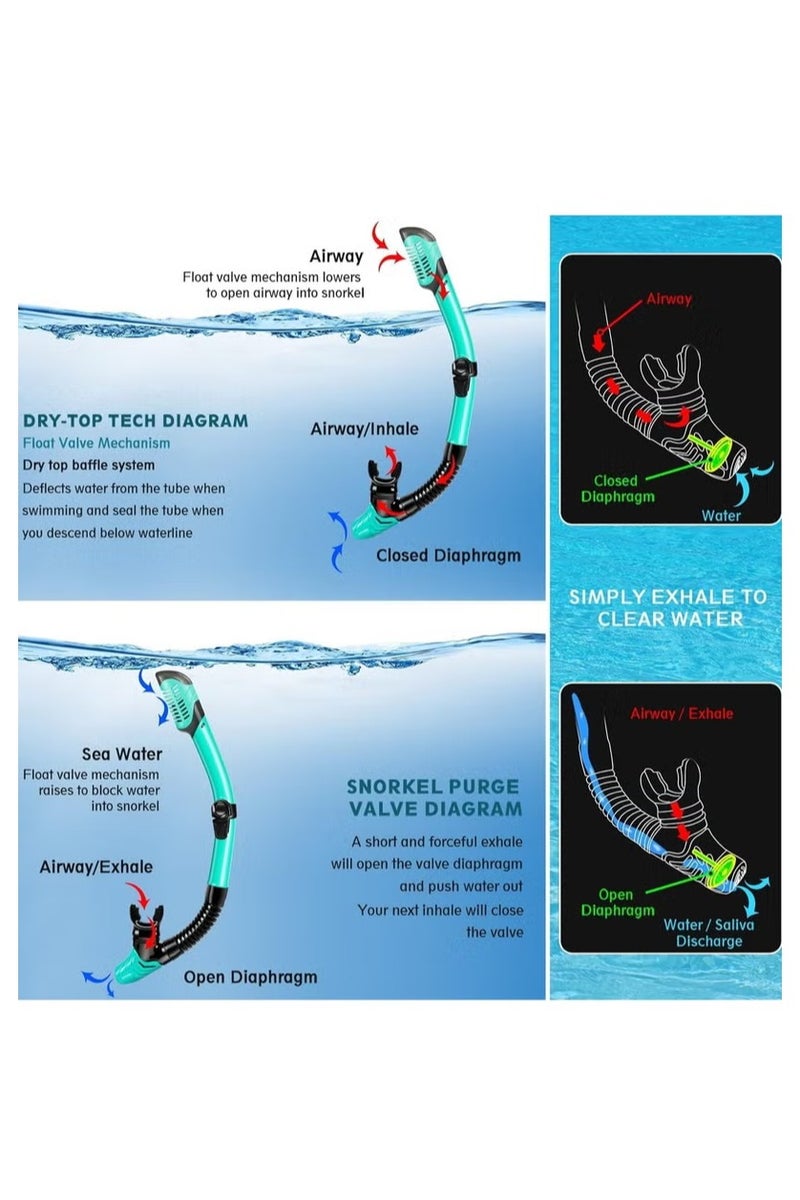 هالامين طقم قناع وزعانف وغطس، معدات غطس بحجم مناسب للسفر للبالغين مع قناع مضاد للضباب وبإطلالة بانورامية، زعانف تريك، أنبوب غطس جاف وحقيبة معدات للتدريب على السباحة، طقم غطس وحزم غوص - Image 2