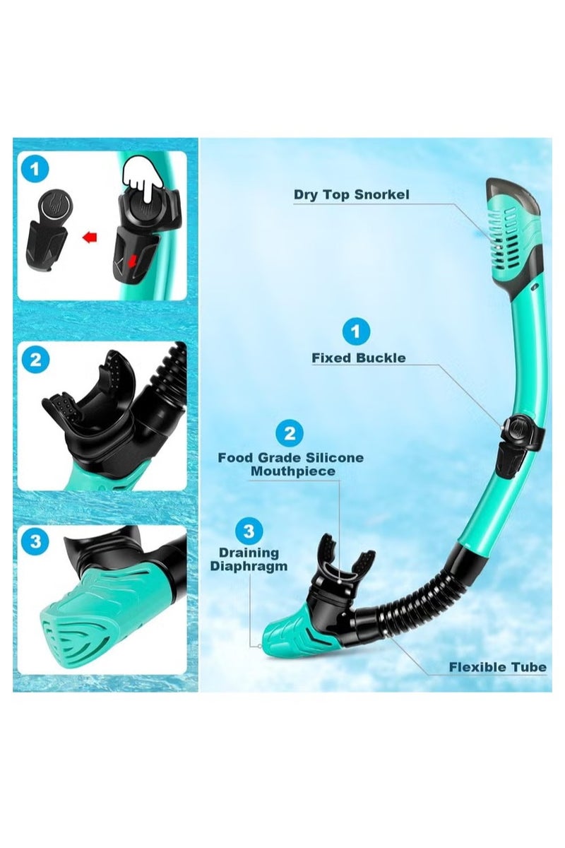 هالامين طقم قناع وزعانف وغطس، معدات غطس بحجم مناسب للسفر للبالغين مع قناع مضاد للضباب وبإطلالة بانورامية، زعانف تريك، أنبوب غطس جاف وحقيبة معدات للتدريب على السباحة، طقم غطس وحزم غوص - Image 3