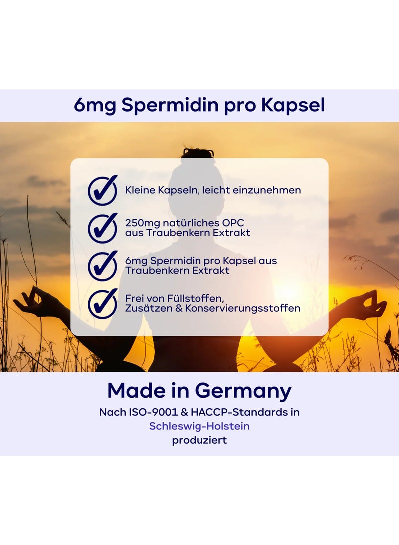 Plantomol Spermidine-OPC – 6 mg Spermidine & 250 mg OPC per Capsule – Supports Cellular Health, Regeneration & Antioxidant Protection, Made in Germany, 90 Capsules - Image 3