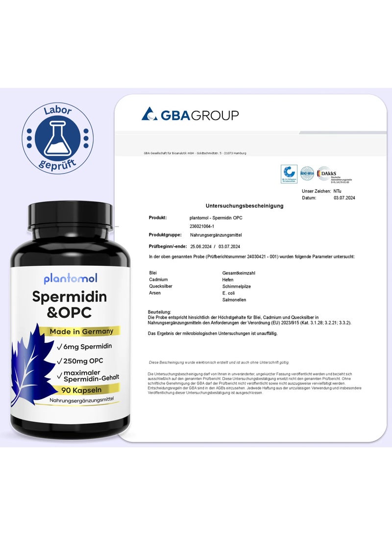Plantomol Spermidine-OPC – 6 mg Spermidine & 250 mg OPC per Capsule – Supports Cellular Health, Regeneration & Antioxidant Protection, Made in Germany, 90 Capsules - Image 4
