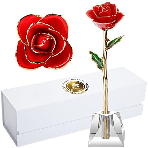 Valentines Day Gift Rose Long Stem Rose Made from 24K Gold Dipped Real Rose Gift for her RoseRed with Crystal Vase