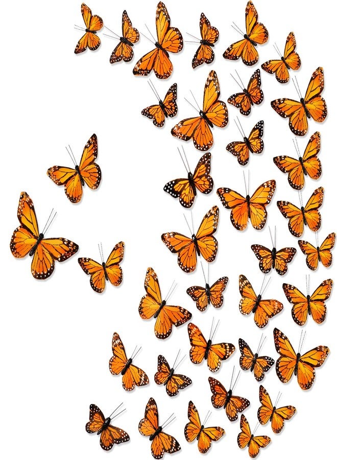 Chuangdi Feather Butterfly Decorations 36 Pcs Orange 3size Monarch Wall & Party Decor for Wedding, DIY Crafts Lightweight Artificial Feather Butterflies for Home Indoor Outdoor - Image 1