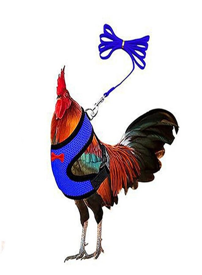 cyhaen Cute Chicken Harness with Leash, Adjustable Soft Vest for Hen, Rooster, Perfect for Chicken Shows & Outings,Blue M - Image 1