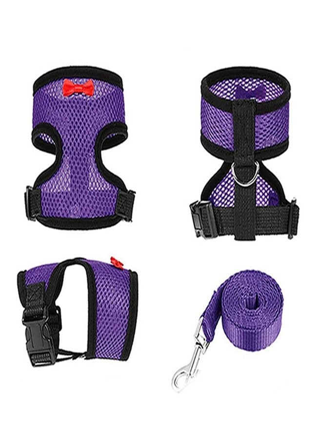 cyhaen Cute Chicken Harness with Leash, Adjustable Soft Vest for Hen, Rooster, Perfect for Chicken Shows & Outings,Blue M - Image 5