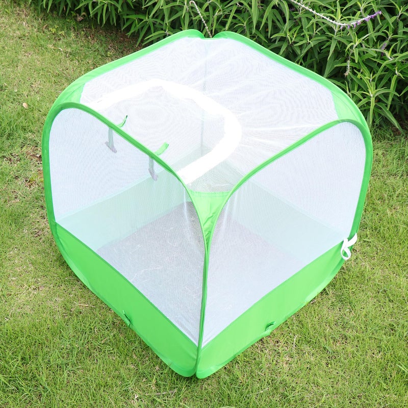 RESTCLOUD Mesh Plant Cover for Outdoor, Plant Netting Protector Garden Cover Cloche for Fruit, Vegetables, Strawberry, Flowers and Herbs Pop-Up Cage with 4 Stakes (White with Green, 19.7" x 19.7" x 19.7") - Image 4