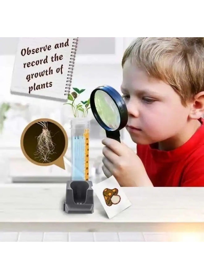 تجارب علم النبات في علم الانفجار العظيم - SR20407 - Image 2