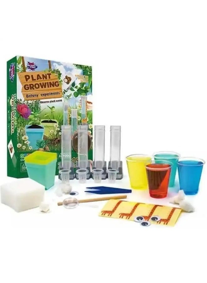 تجارب علم النبات في علم الانفجار العظيم - SR20407 - Image 3