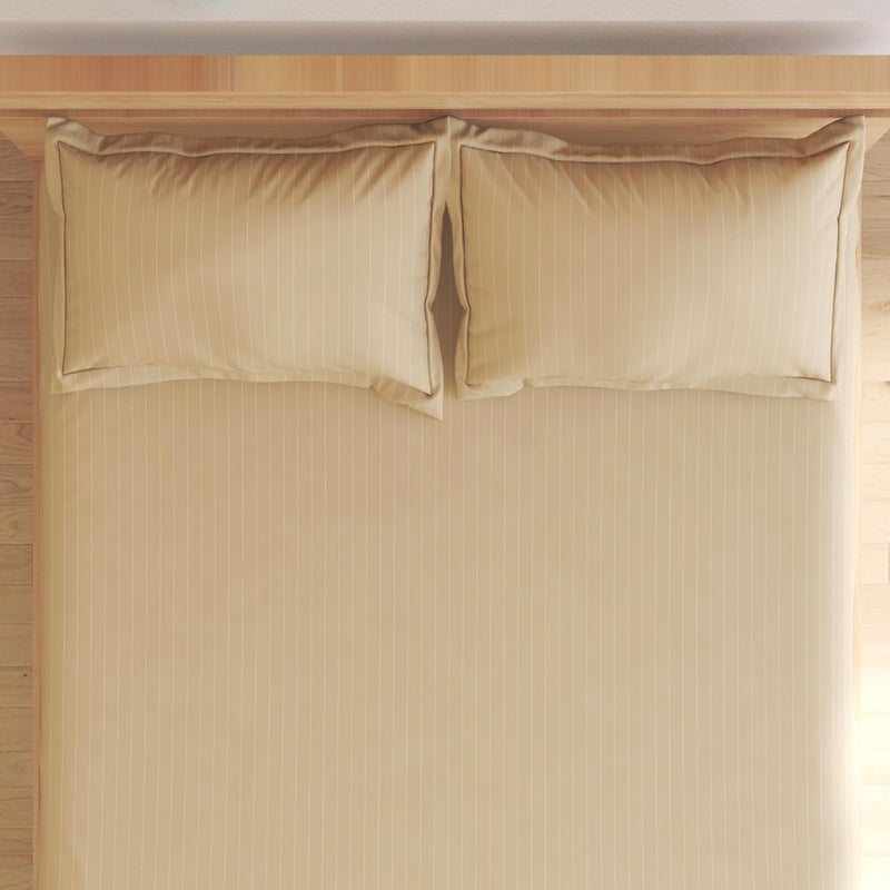 Home Centre Campbell Cotton 210TC Striped 3Pcs Super King Bedsheet Set - Image 4