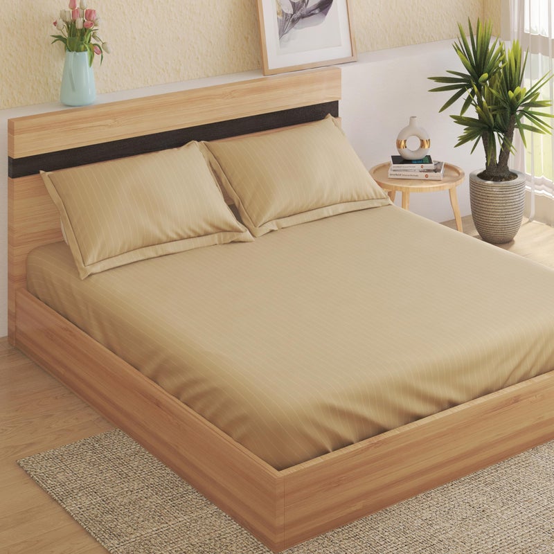 Home Centre Campbell Cotton 210TC Striped 3Pcs Super King Bedsheet Set - Image 1