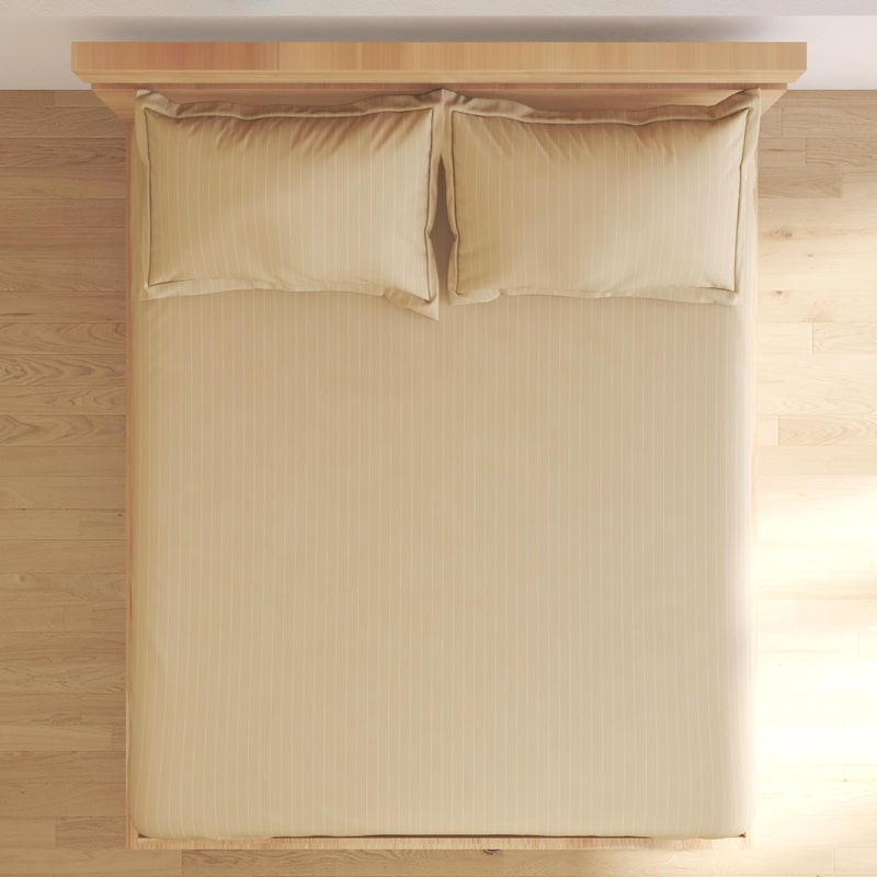 Home Centre Campbell Cotton 210TC Striped 3Pcs Super King Bedsheet Set - Image 3