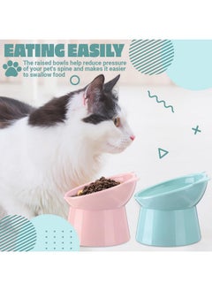 2 Pieces Plastic Raised Bowl Tilted 15 Degrees Elevated Cat Food And Water Bowls Set Anti Vomit Dog Kitten Food Dishes Pet For Cats And Small Dogs (Green, Pink) - pzsku/ZDE98DFB07A670877B92FZ/45/_/1726219937/8428af7d-a83e-4af9-8721-bb6d01eca3d2