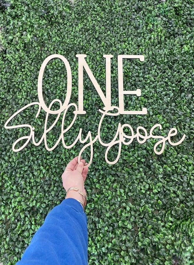 QENWWENG One Silly Goose Sign for Backdrop,Silly Goose Birthday Sign for 1st Birthday Party Decoration,Silly Goose First Birthday Decorations Duck Birthday Funny Goose Party Supplies - Image 1