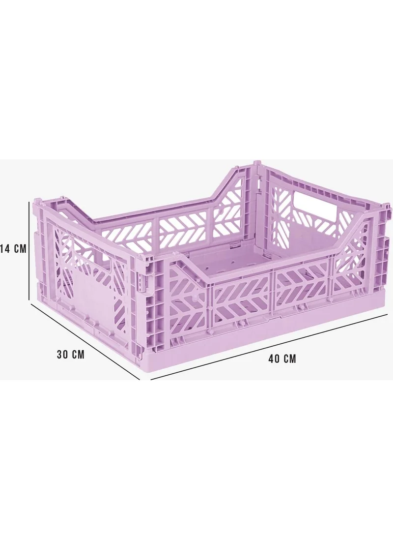 Ayyıldız Aykasa 403014 Midibox Orchid Foldable Case