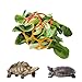 Besimple Tortoise Treat Ball Toy Turtle Hay Feeder Ball Hanging Feeding Grass Ball Fruit Vegetable Feeder Holder Foraging Toy for Small Animals Pet Tortoise Turtle - Image 3