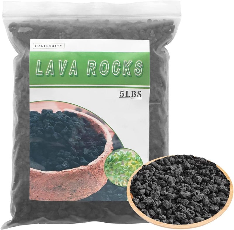 CARURBODY Black Lava Rocks for Plants -100% Pure Volcanic Rock No Dyes or Chemicals-Best Lava Stones Top Dressing for Cacti Succulents Plants,Bonsai-5LBS - Image 1