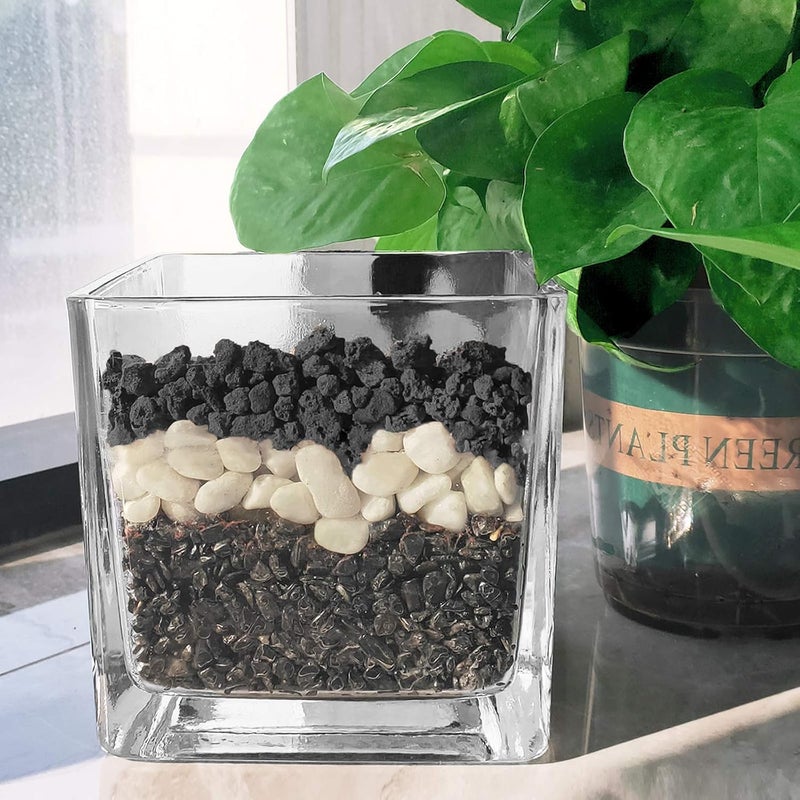 CARURBODY Black Lava Rocks for Plants -100% Pure Volcanic Rock No Dyes or Chemicals-Best Lava Stones Top Dressing for Cacti Succulents Plants,Bonsai-5LBS - Image 4