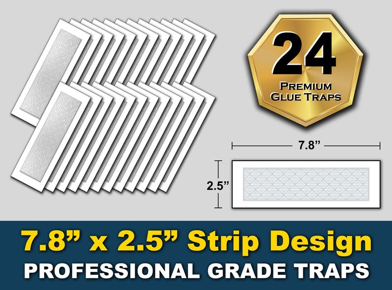 MaxGuard Glue Trap Strips (24 Traps) Non-Toxic Extra Sticky Glue Board Pre-Baited with Fruity Scent Attractant Trap & Kill Insects, Bugs, Spiders, Crickets, Scorpions, Cockroaches, Centipedes, Mice - Image 3
