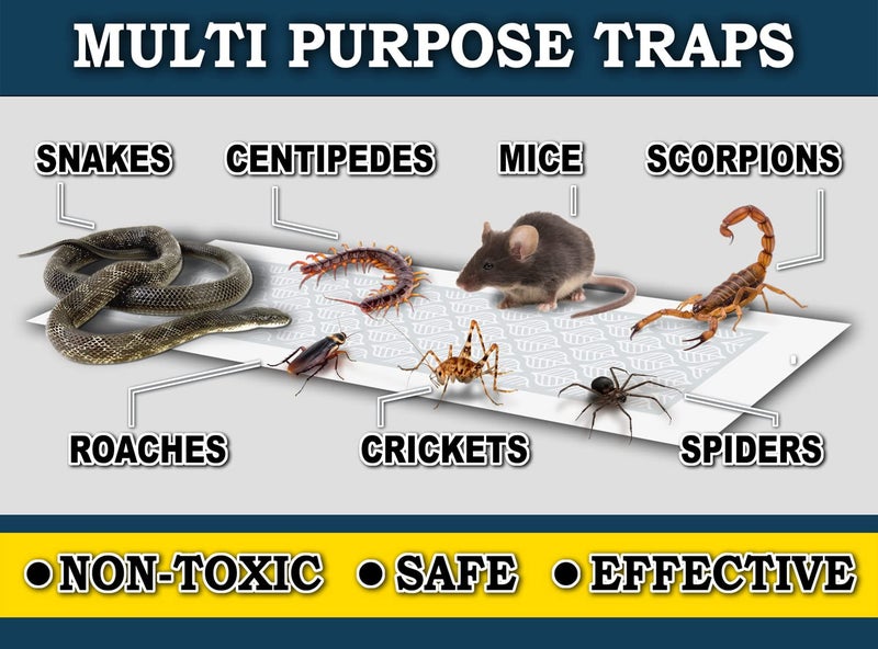 MaxGuard Glue Trap Strips (24 Traps) Non-Toxic Extra Sticky Glue Board Pre-Baited with Fruity Scent Attractant Trap & Kill Insects, Bugs, Spiders, Crickets, Scorpions, Cockroaches, Centipedes, Mice - Image 4