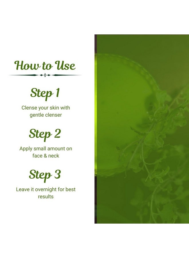 PKC 100% Natural Green Tea Face Serum | Antioxidant | Skin Repair | Helps Fight Free Radicals | For All Skin Types - Image 3