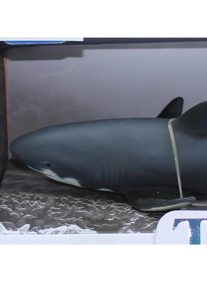 The Sea World Series Model  – Grey Shark Figurine - Image 3