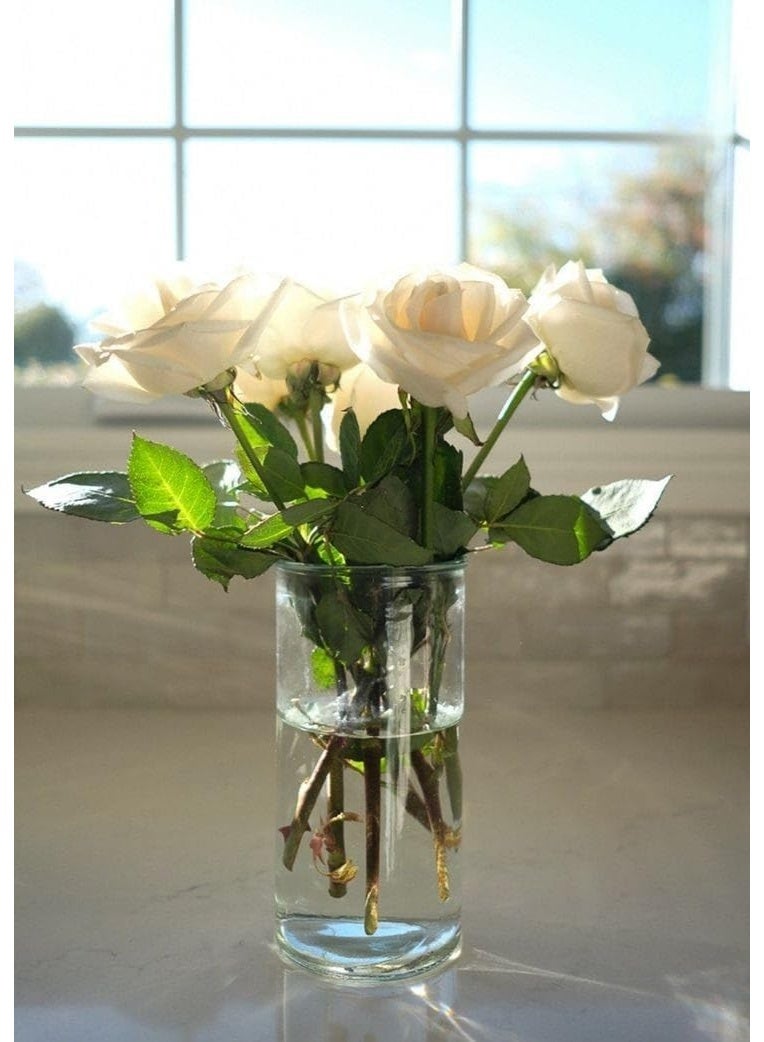 Glass Cylinder Vase -, Clear Crystal Flower Holder, 20 cm - Image 1