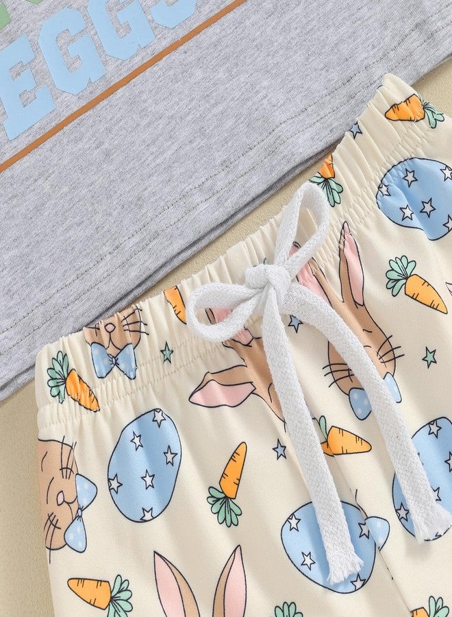 Okbabeha Toddler Baby Boy Easter Outfit Mr Steal Your Eggs Crewneck Shirt Bunny Shorts 2Pcs Boys Clothes 6M 12M 18M 2T 3T 4T (Mr steal your eggs-Gray, 6-12 Months) - Image 5