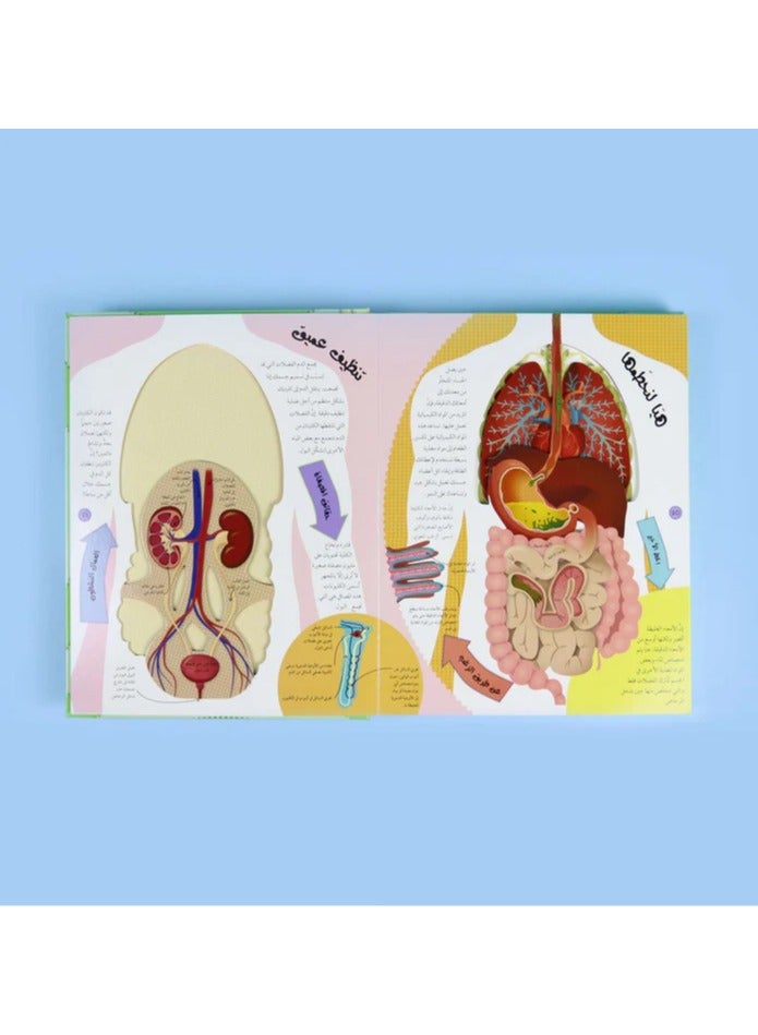 Educational Innovations The Human Body from the Outside in DK - Image 2