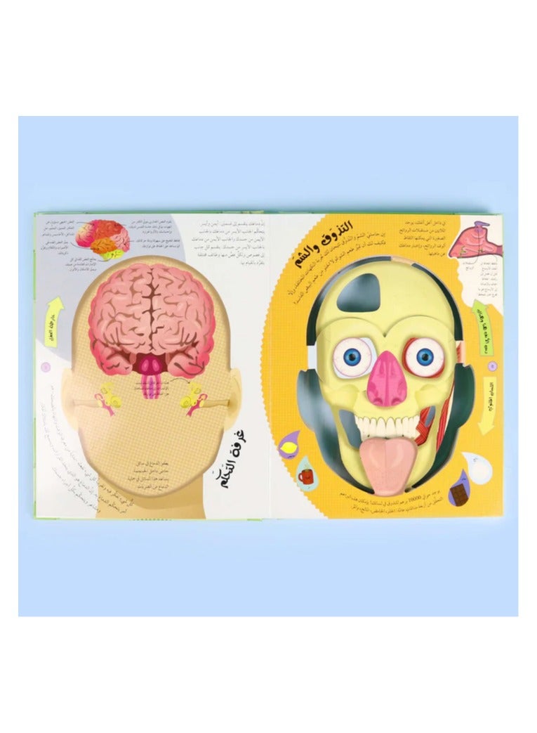 Educational Innovations The Human Body from the Outside in DK - Image 3